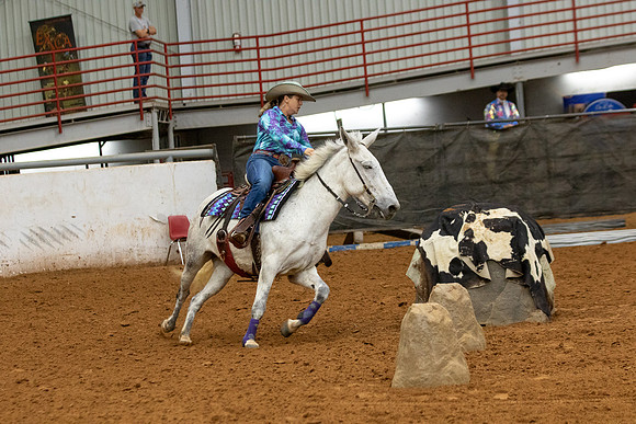 Mule&FuturityR2-165