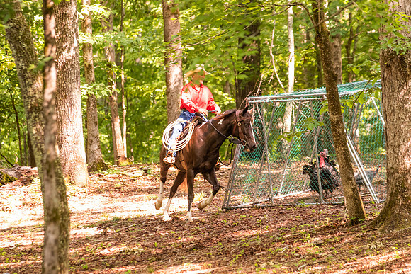 HodgesRace-5335