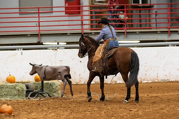 Mustang&MuleR1-210