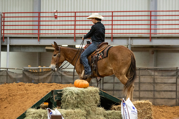 MuleFinals-9