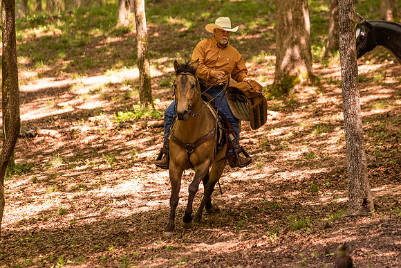 HodgesRace-5614