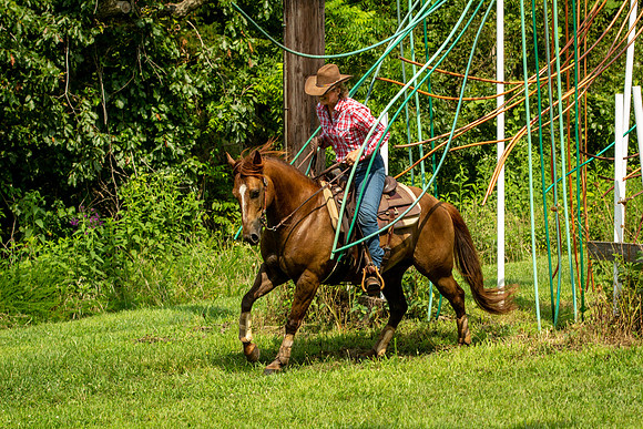 IMG_4383