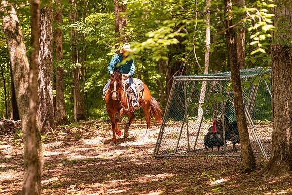 HodgesRace-5943