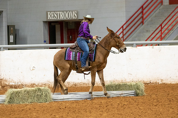Mule&FuturityR2-223