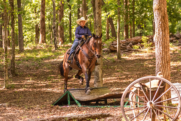HodgesRace-6537