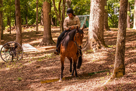 HodgesRace-6229