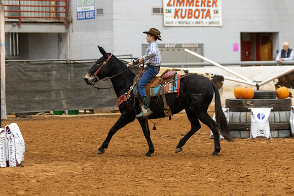 Mule&FuturityR2-67