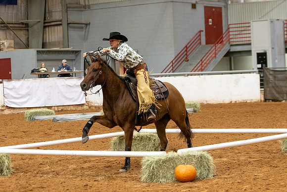Mule&FuturityR2-351