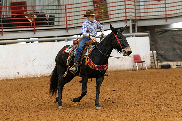 Mule&FuturityR2-73
