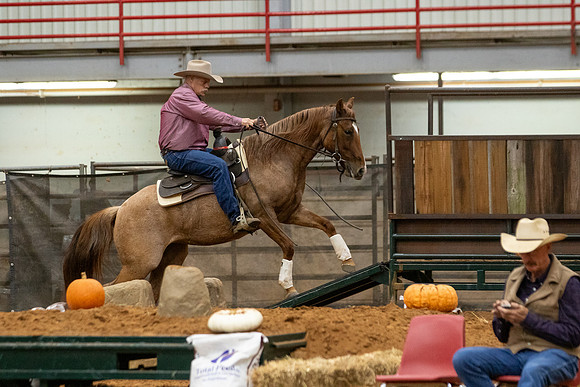 Mule&FuturityR2-384