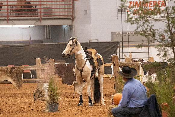 Futurity-6052