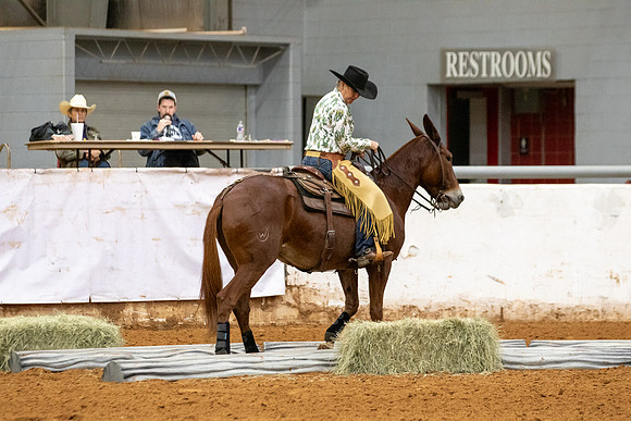Mule&FuturityR2-122