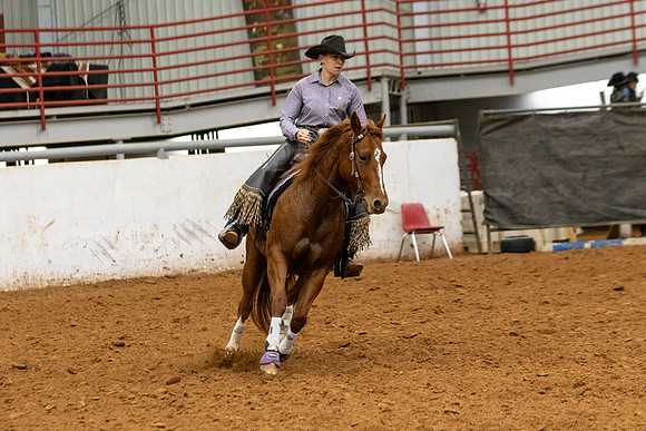 Mule&FuturityR2-519