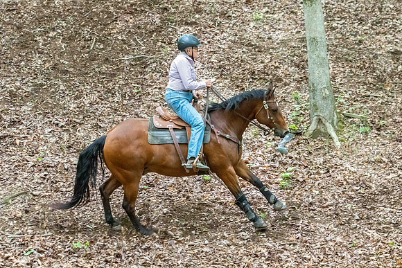 EXCAHodges2024-6235