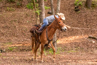 HodgesRace-7537