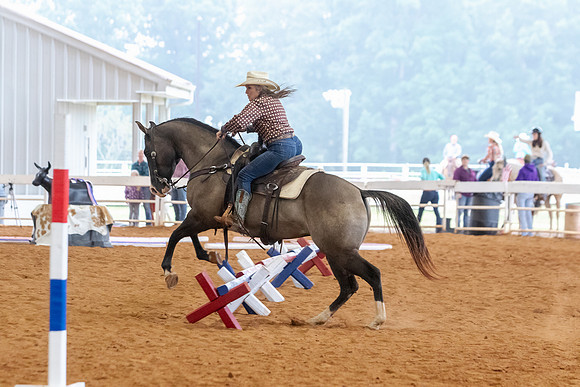 EXCARegionals-457