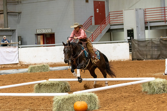 Mule&FuturityR2-287