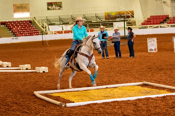 Cheyenne-4319