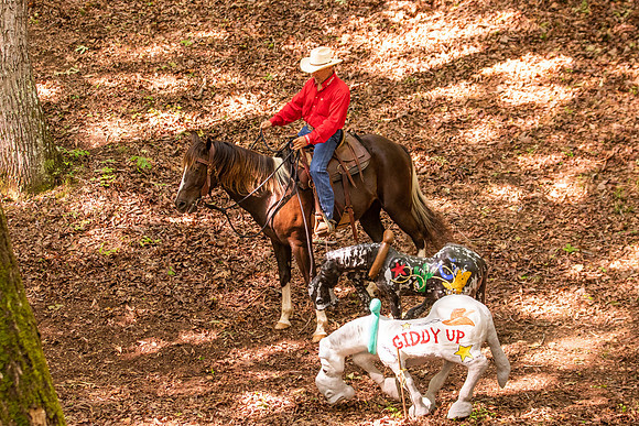 HodgesRace-5356