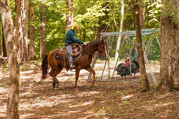 HodgesRace-5945