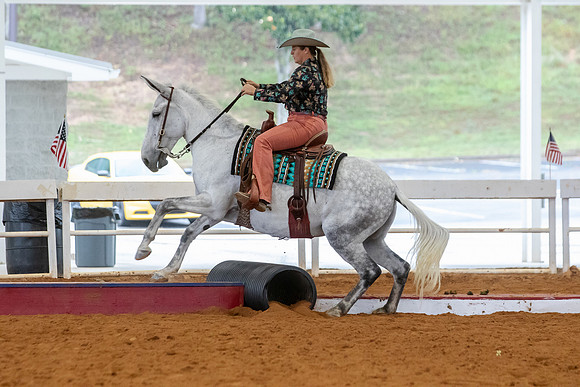 EXCARegionals-59