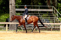 40. Senior Hunter Under Saddle, over 14.2h