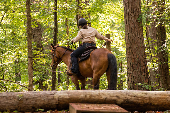 HodgesRace-5045