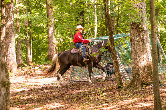 HodgesRace-5336