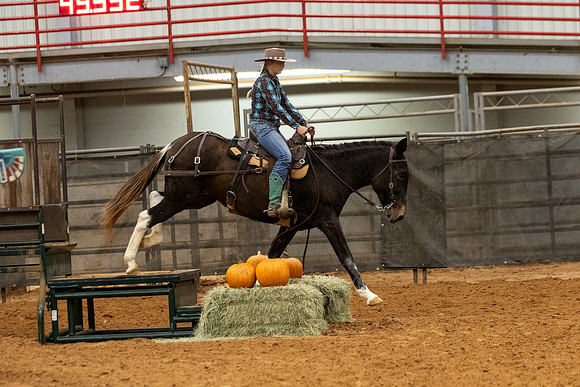 Mule&FuturityR2-207