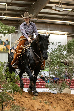 Mustang&MuleR1-163