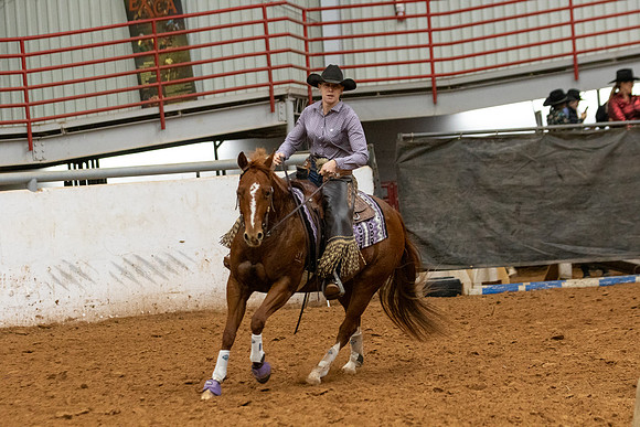 Mule&FuturityR2-518
