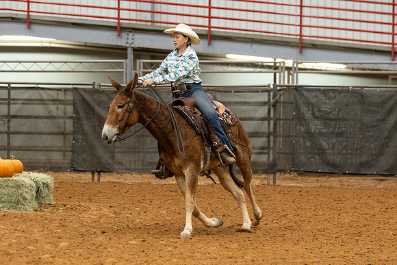 Mule&FuturityR2-7