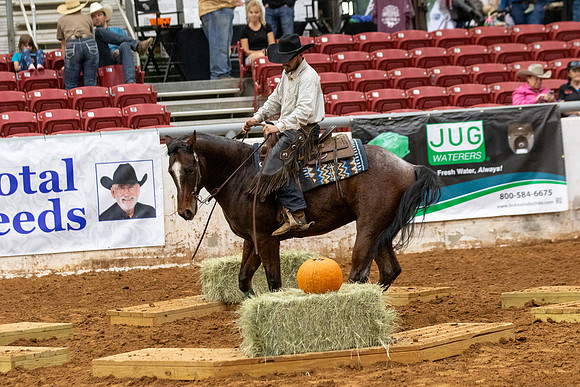 InternationalR1-560