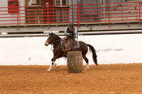 Mustang-1296