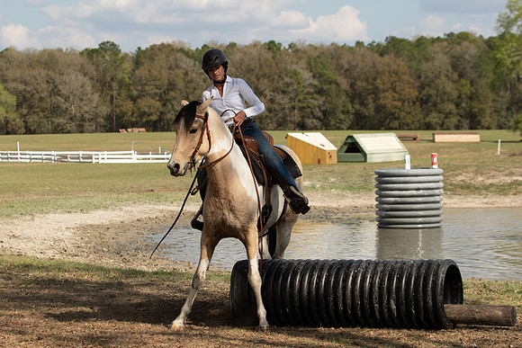 EXCAOcala-8863