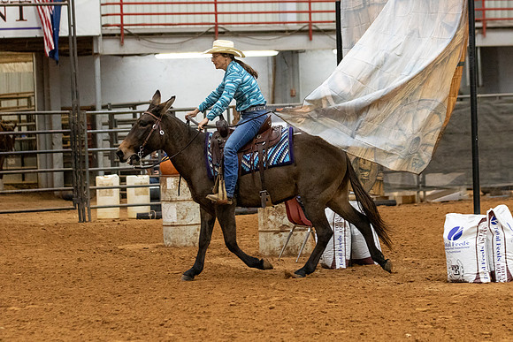 Mule&FuturityR2-45