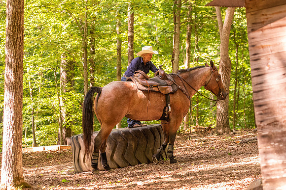 HodgesRace-6540