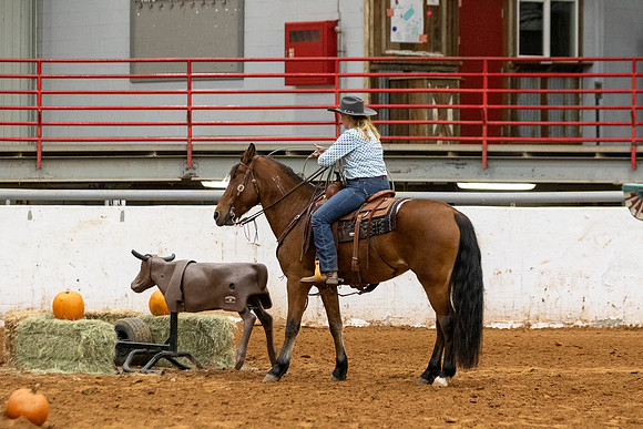 Mustang&MuleR1-592