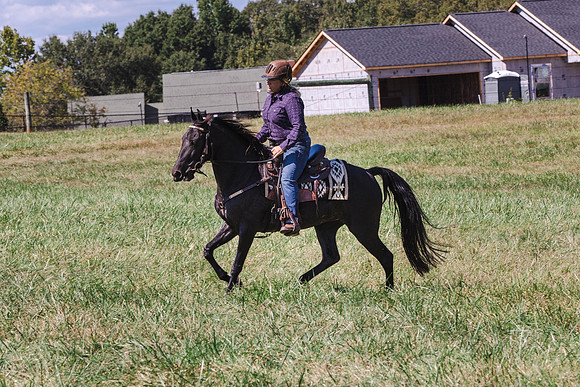 Terri-1771