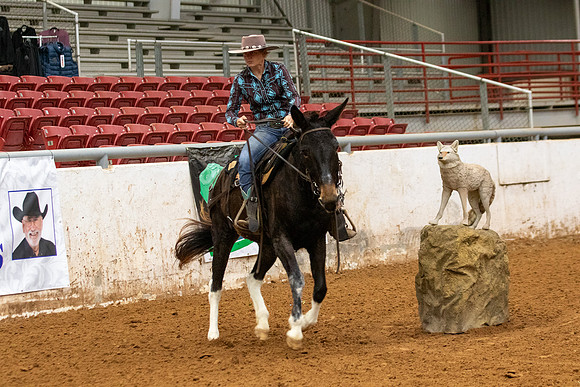 Mule&FuturityR2-202