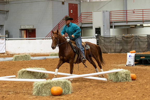 Mule&FuturityR2-371