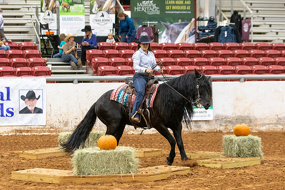 Mustang&MuleR1-37