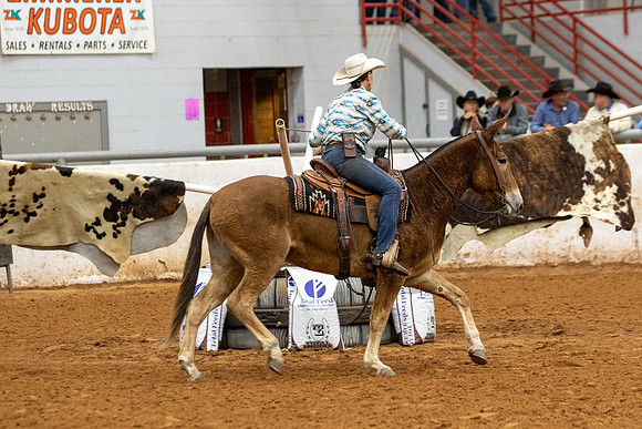 Mule&FuturityR2-18