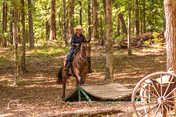 HodgesRace-6535