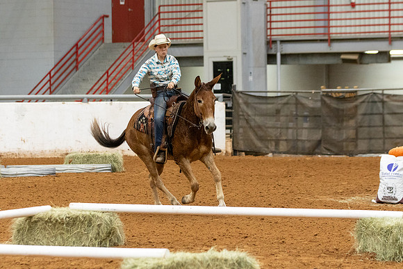 Mule&FuturityR2-12