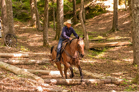 HodgesRace-6529