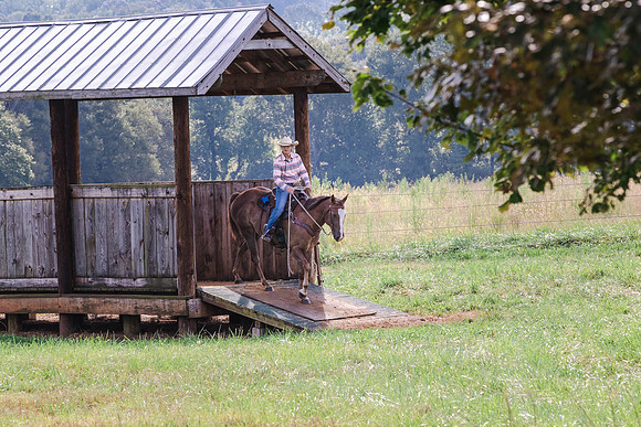 Tammy Chilton-0062