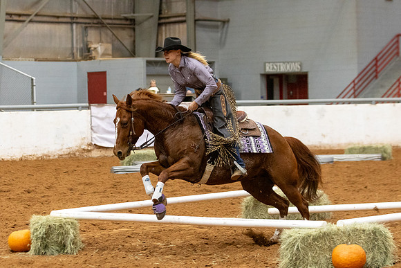 Mule&FuturityR2-510