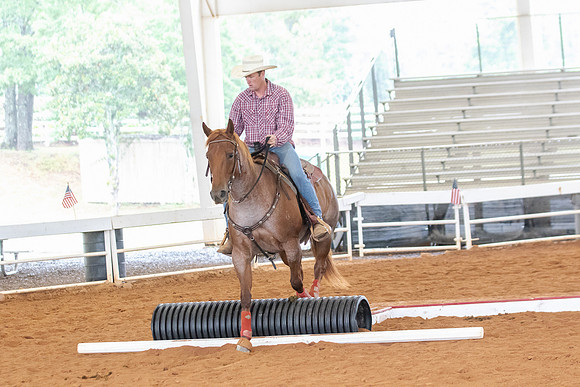EXCARegionals-859