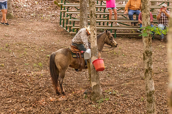 HodgesRace-7338